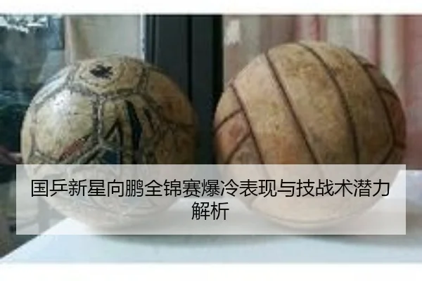 国乒新星向鹏全锦赛爆冷表现与技战术潜力解析